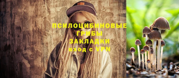 соль ск Алексин