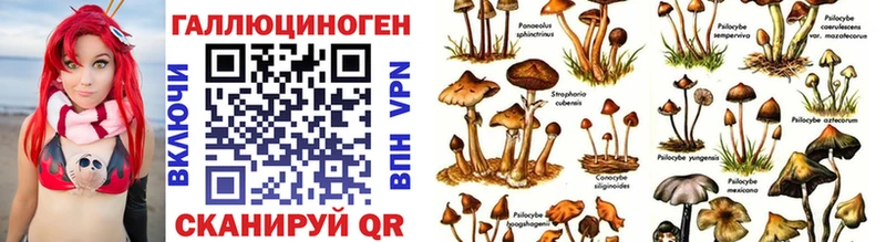 купить наркоту  hydra онион  Псилоцибиновые грибы GOLDEN TEACHER  Лосино-Петровский 