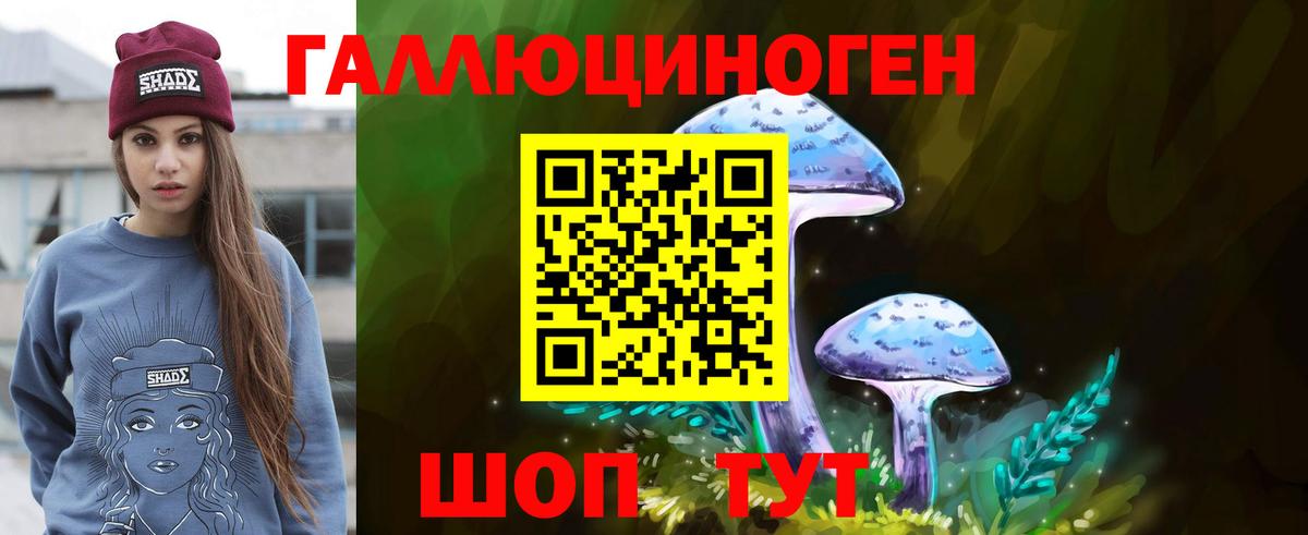 Псилоцибиновые грибы прущие грибы Лосино-Петровский